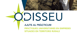 Foto web Pràcticum Odisseu