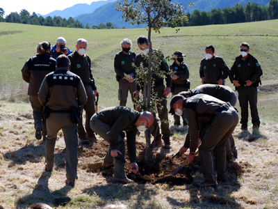 Agents rurals plantant l'arbre
