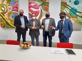 Foto web grup RdP Previsions collita fruita llavor