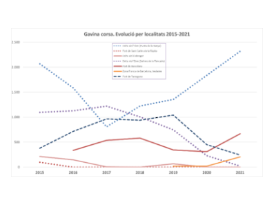 Estadística cens gavina corsa Estadística cens gavina corsa