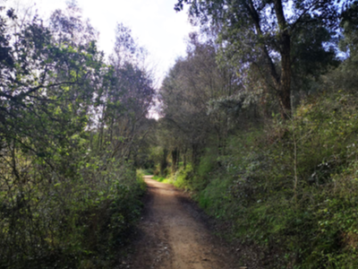 Imatge de recus d'un camí de muntanya