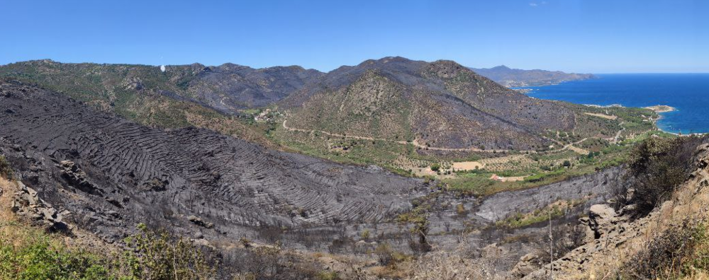 #IFllançà #IFllançà