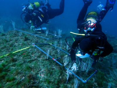 Imatge de l'equip UB-IRBio Imatge de l'equip UB-IRBio