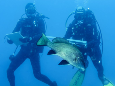 Equip d'investigadors recollint dades Equip d'investigadors recollint dades