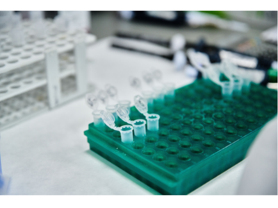 Fotografia laboratori Fotografia laboratori