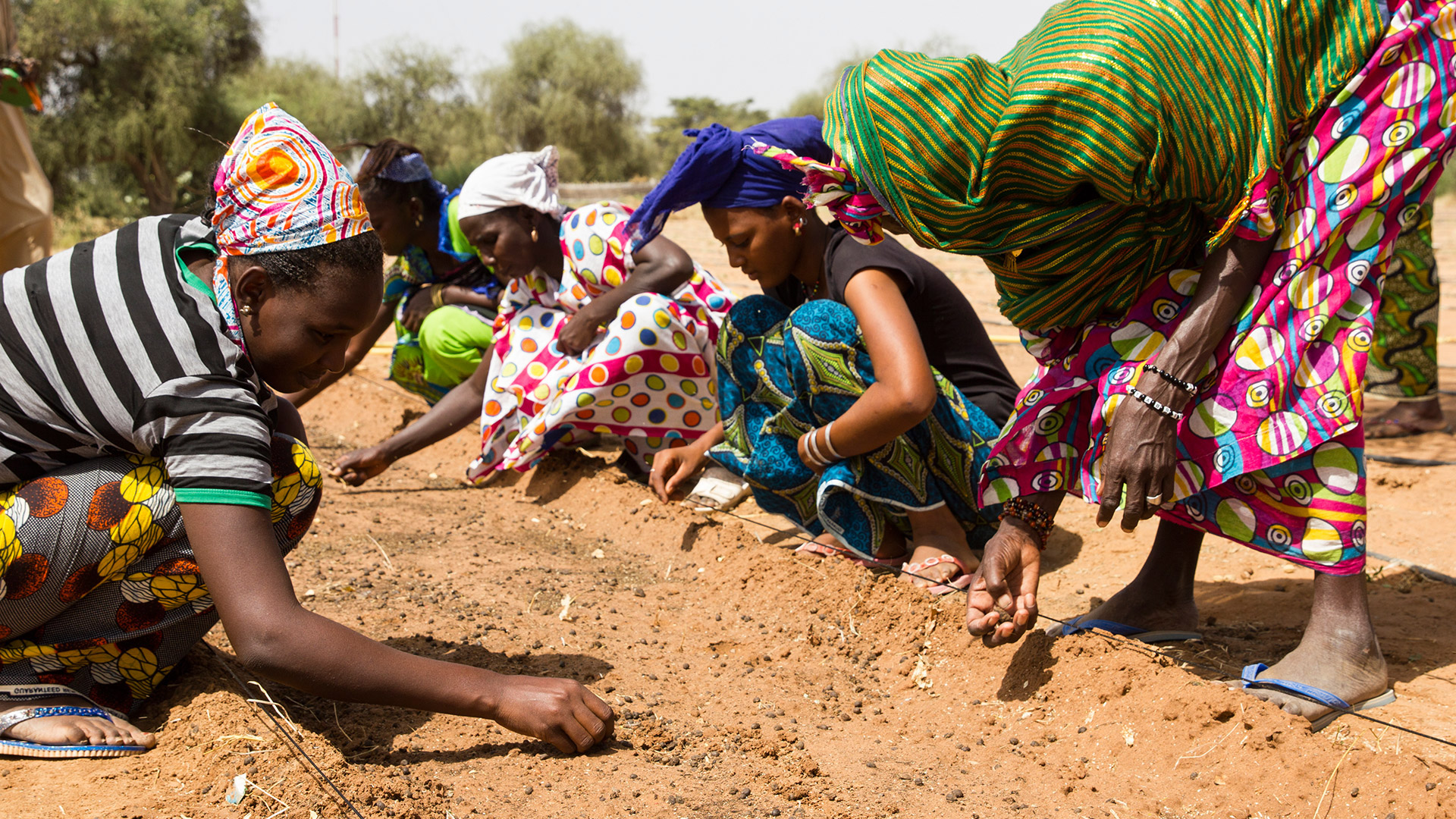 Unes dones manipulant la terra al Sahel.
