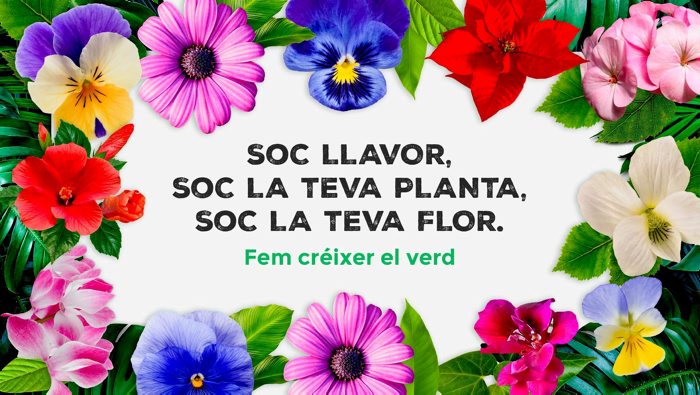 Imatge de la campanya 'Fem créixer el verd', que té per objectiu apropar al consumidor català les flors i plantes ornamentals cultivades a Catalunya
