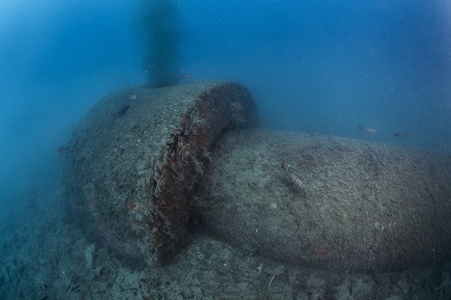 Una de les canonnades submarines detectades en l'elaboració del mapa