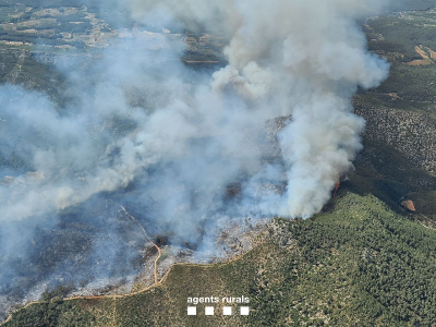 Vista aèria de l'incendi d'Olivella des de l'helicòpter del Grup de Suport Aeri del Cos d'Agents Rurals