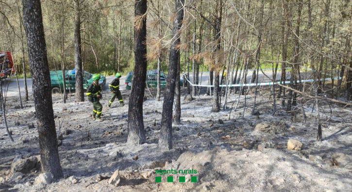 Agents Rurals en la investigació de les causes de l'Incendi d'Olivella