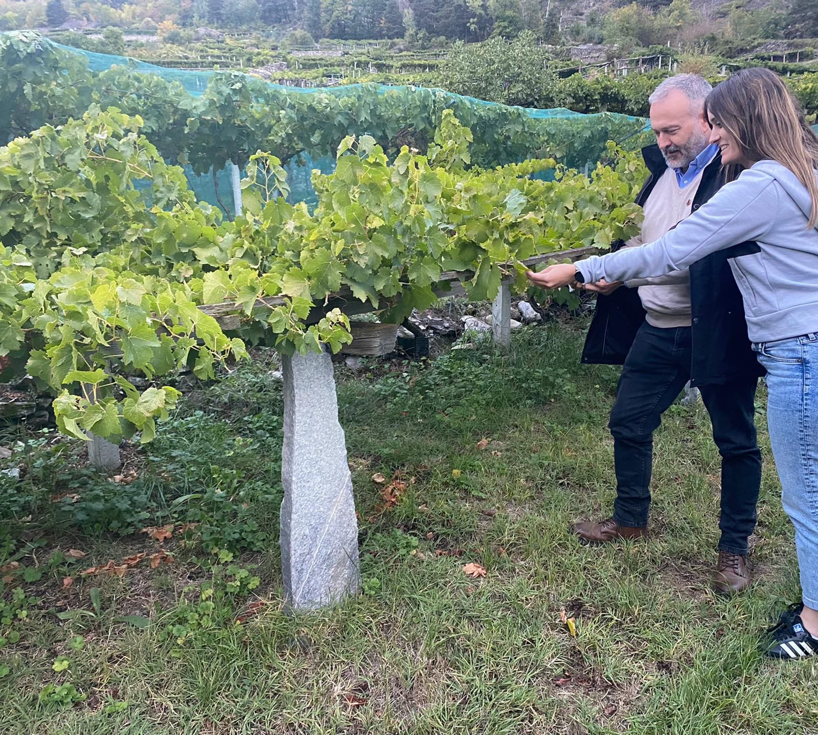 Alba Balcells i Xoan Elorduy, cap de viticultura de l’INCAVI, en una vinya de muntanya de la Vall d’Aosta (Itàlia)