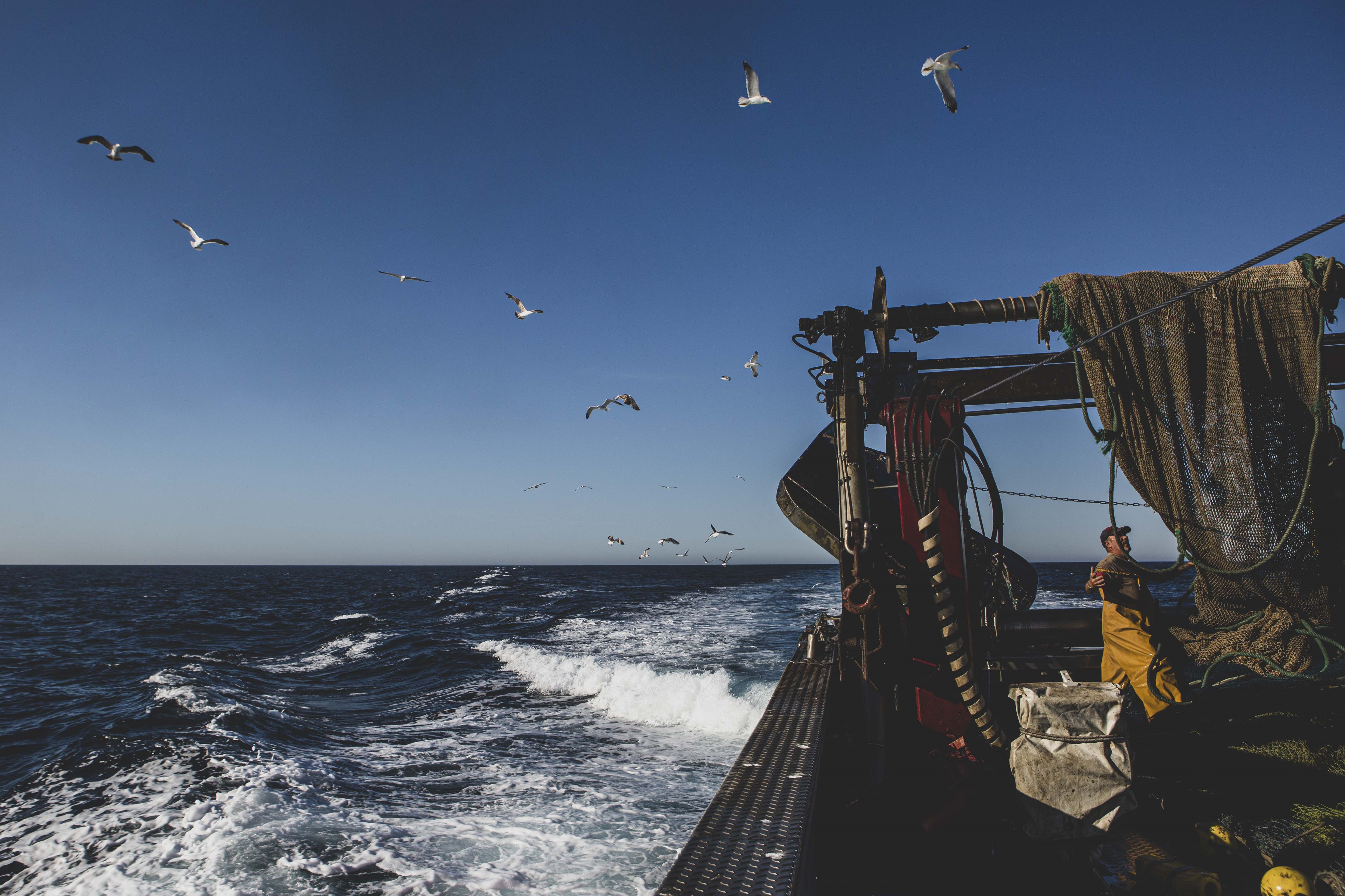 Aprovats més de 3 M€ en ajuts a les vedes pesqueres de les embarcacions d’arrossegament
