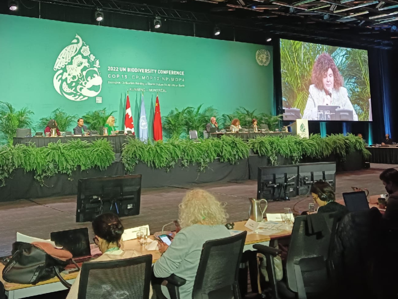 La secretària Barnadas durant la seva intervenció a la COP15
