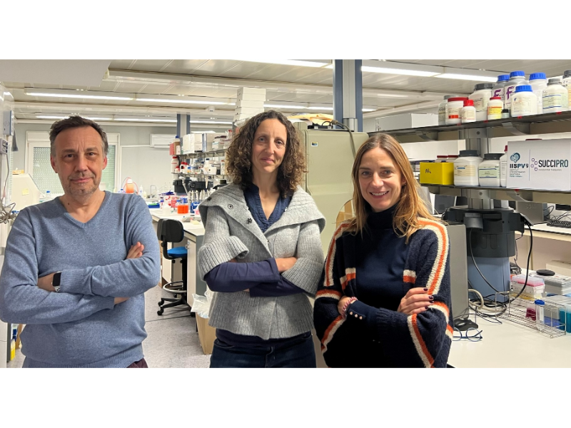 L empresa emergent catalana SUCCIPRO investiga nous fàrmacs per al Crohn, l obesitat i la diabetis