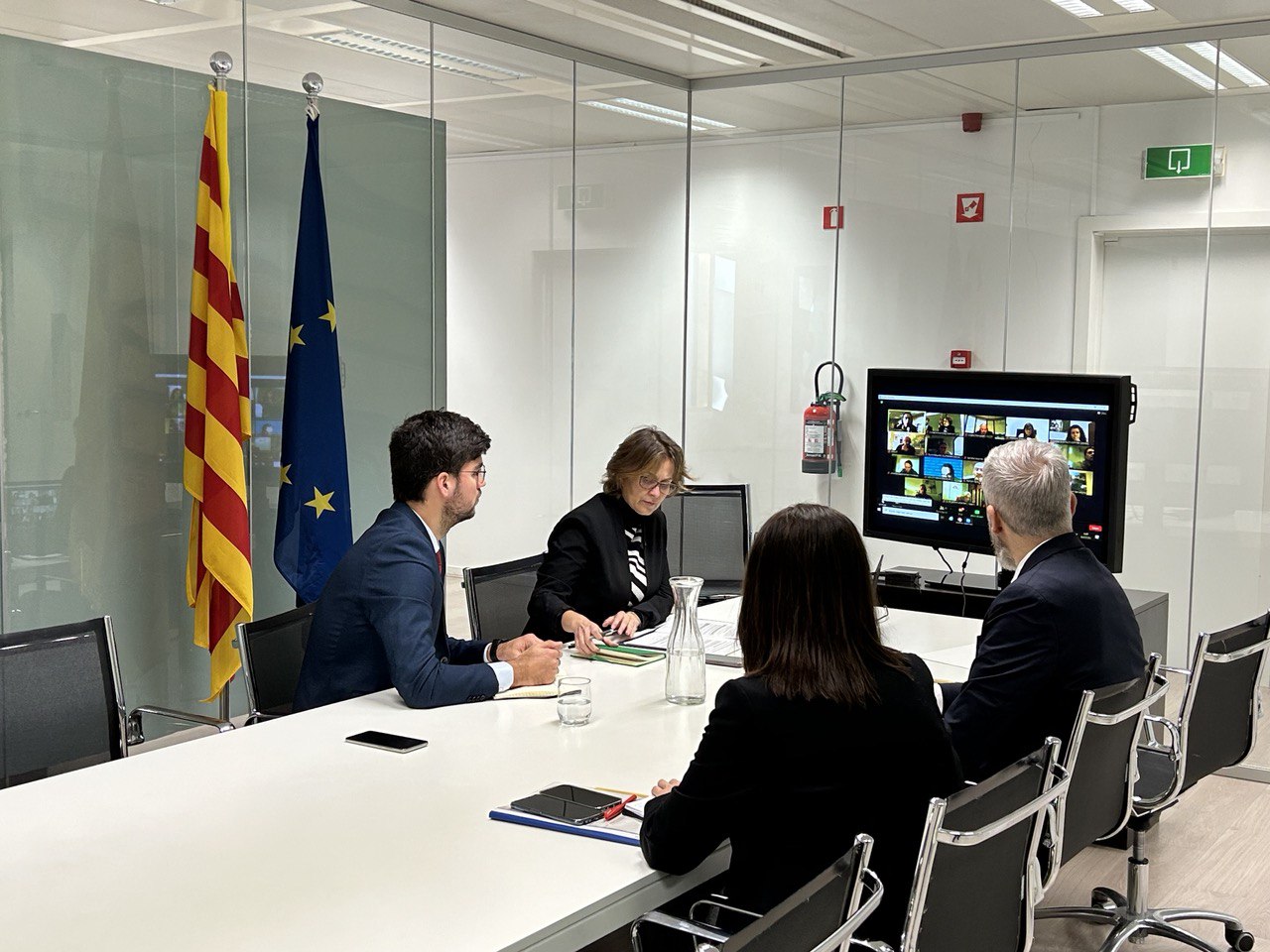 La consellera Serret, durant la reunió telemàtica del Comitè Català d'Ajut Humanitari d'Emergència, a la seu de la Delegació del Govern davant la Unió Europea.