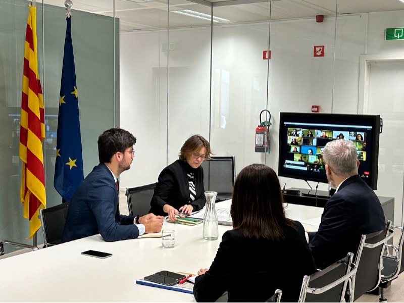 Minister Serret, during the meeting of the Catalan Committee for Emergency Humanitarian Aid, held online, at the offices of the Government Delegation to the EU.