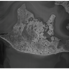 Imatge en escala de grisos d’una zona pròxima a Nova Orleans
