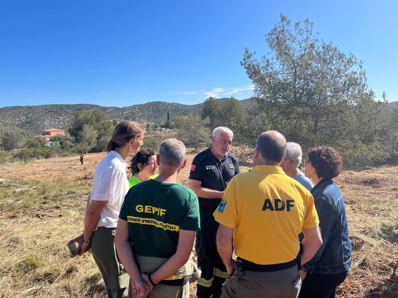 Moment de la visita d'avui dels treballs forestals que es realitzen a la Plana Novella, d'Olivella, al Garraf