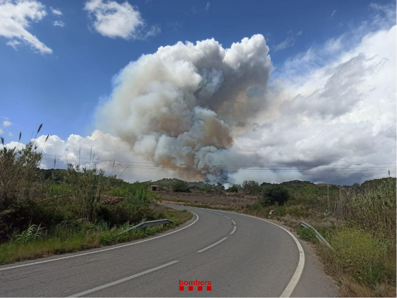 Imatge de l'incendi de Bonastre, del 12 de maig de 2023