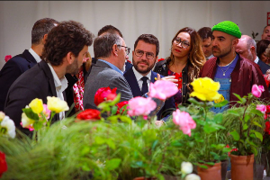 El president Aragonès a l'Exposició Nacional de Roses de Sant Feliu de Llobregat (foto: Jordi Bedmar)