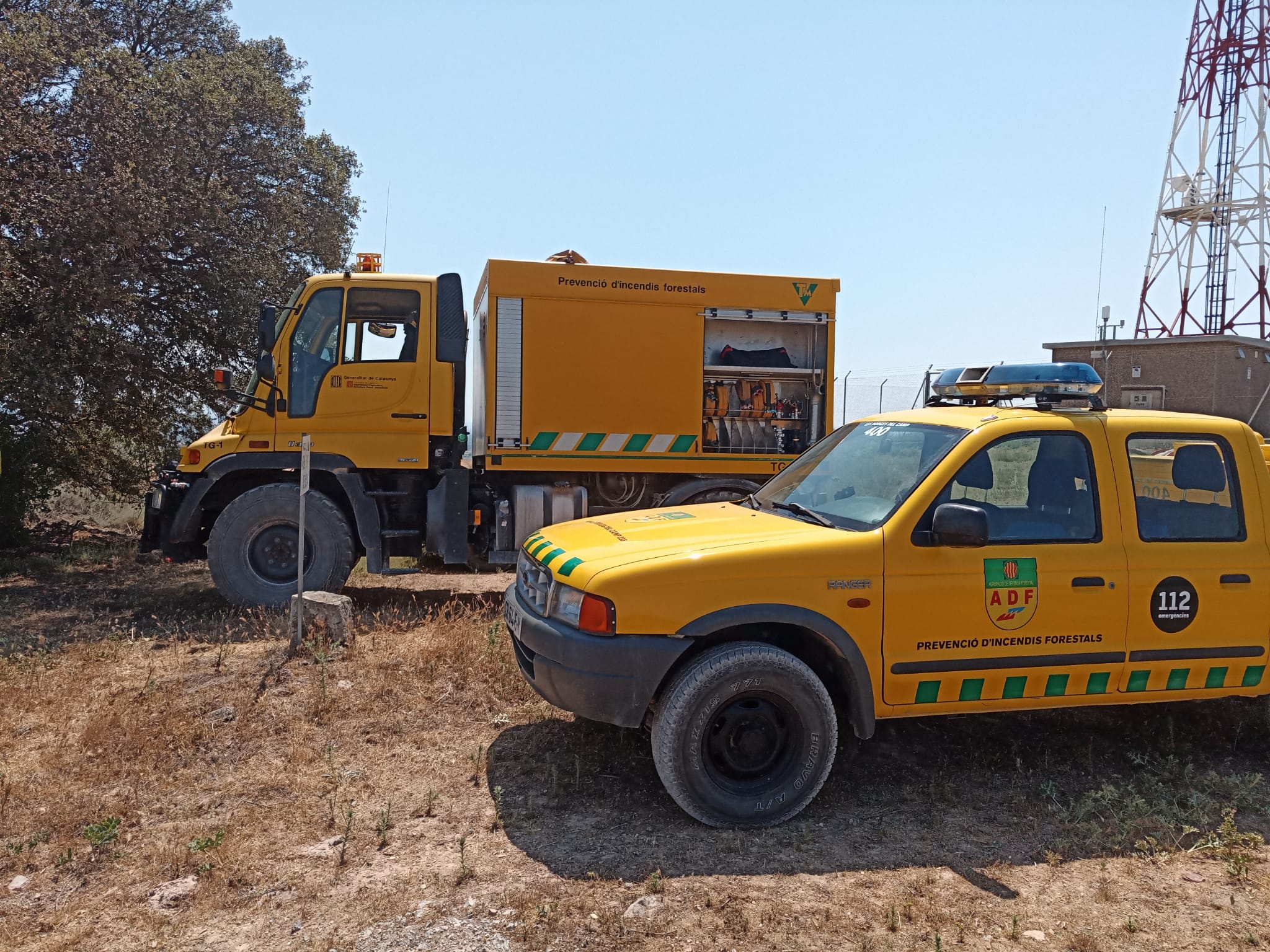 Imagen del artículo El Departament d'Acció Climàtica  i les Agrupacions de Defensa Forestal signen un programa de treball conjunt en matèria de prevenció d'incendis