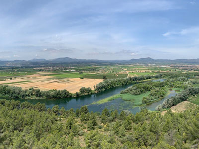 Imagen del artículo Impuls a la millora ambiental del riu Ebre, en el tram comprès entre Ascó i Miravet