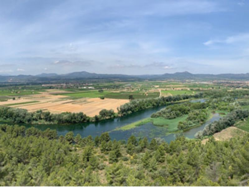 Tram del riu Ebre i les seves illes des del mirador del poblat ibèric del Castellet de Banyoles, a Tivissa.