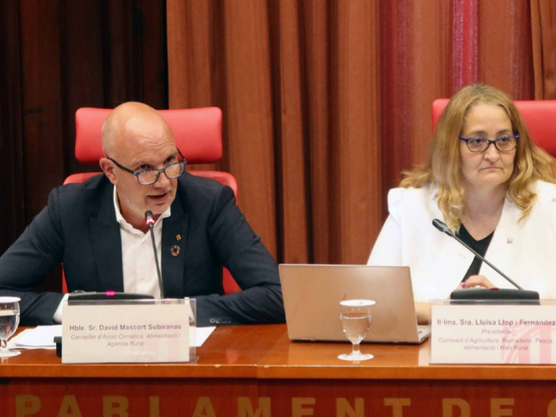 El conseller Mascort durant la seva compareixença al Parlament de Catalunya.