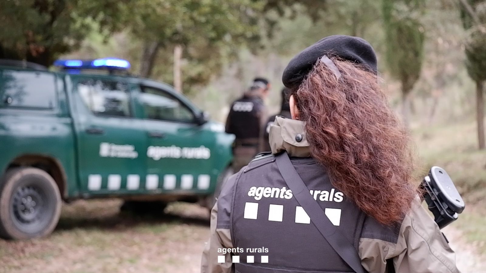 Imagen del artículo Els Agents Rurals denuncien una persona per un delicte contra la fauna i ús de mètodes de caça prohibits al Pallars Sobirà