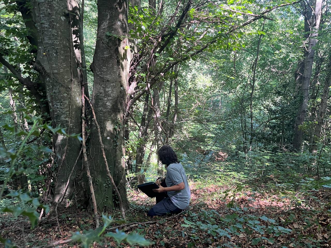 Una investigadora analitza la maduresa d'un bosc