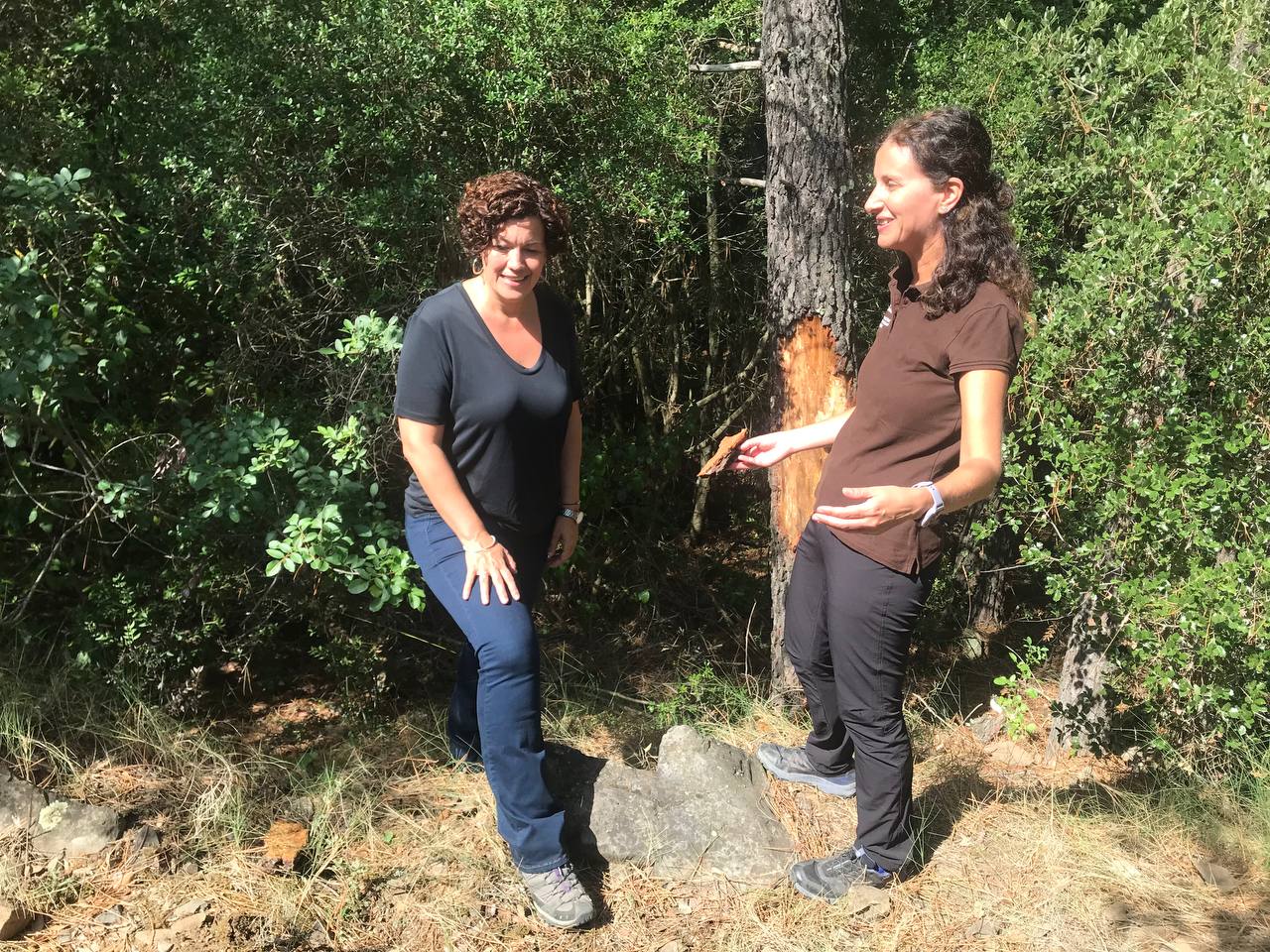 L'actuació començarà el setembre L'actuació començarà el setembre