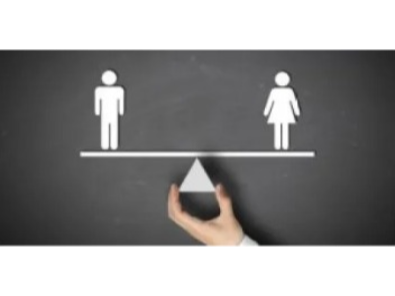 Igualtat gènere