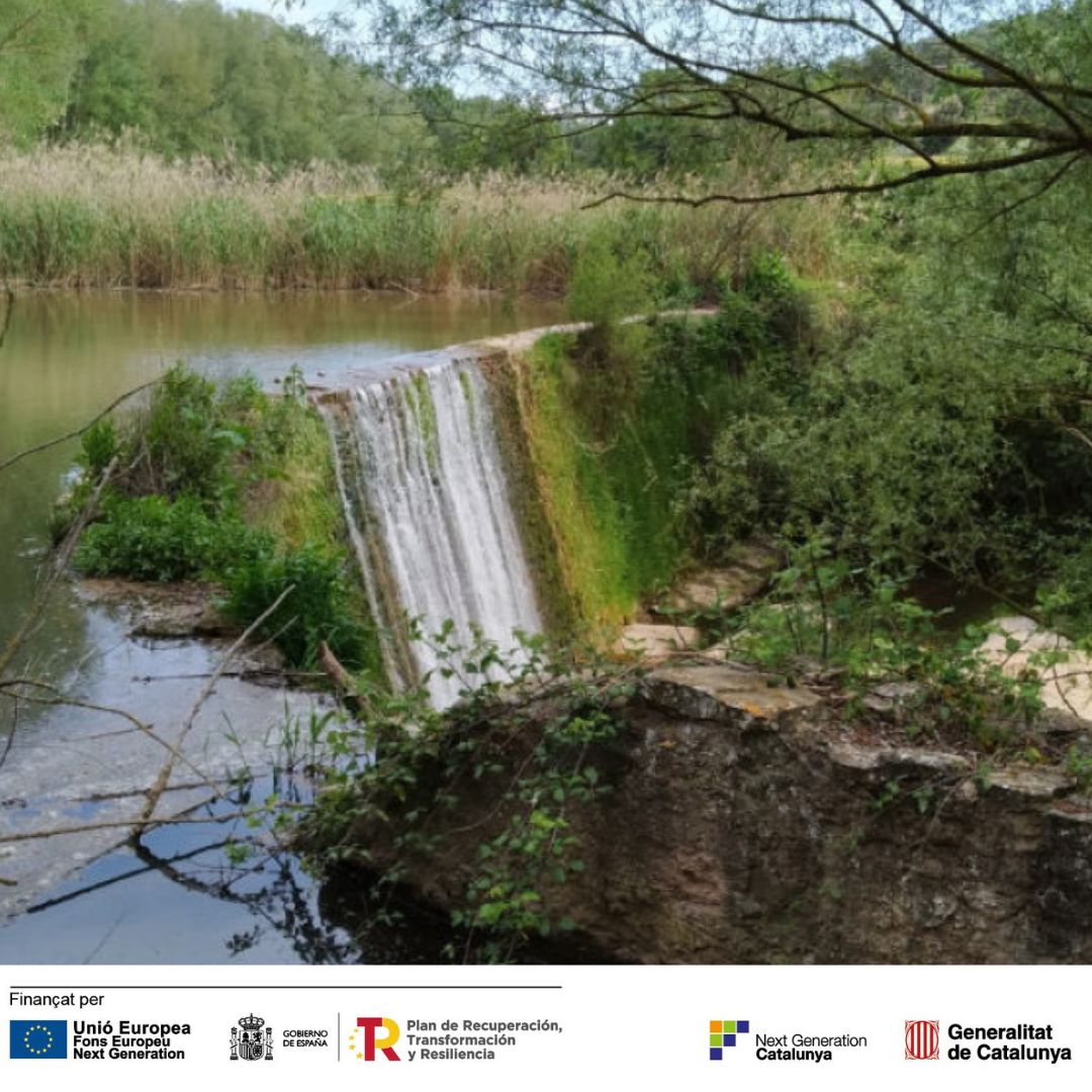 Imagen del artículo L'Agència Catalana de l'Aigua adjudica l'execució de les obres de restauració fluvial en el riu Calders