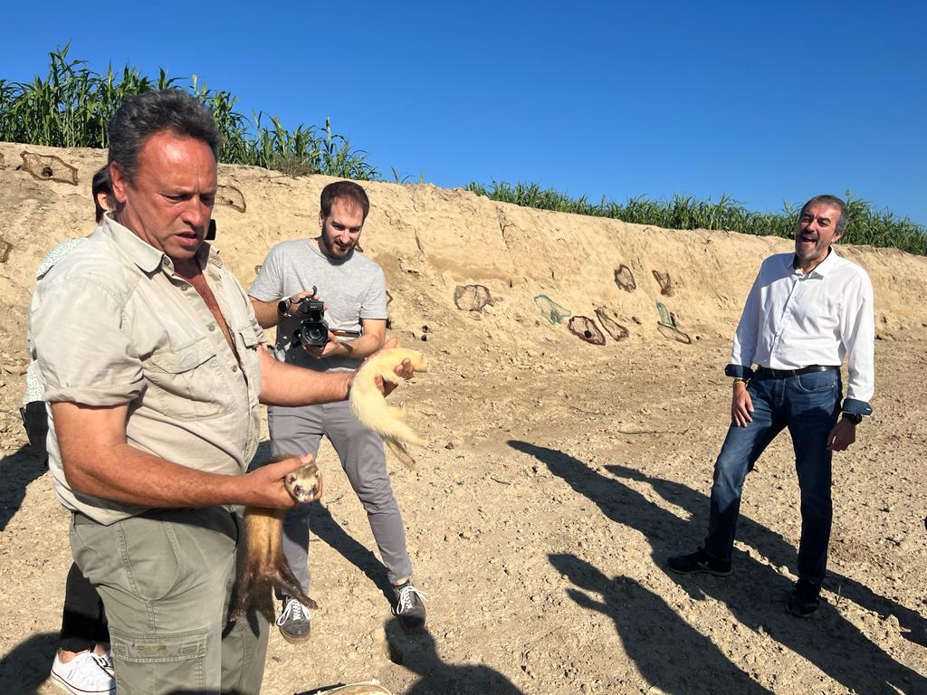 El director dels Serveis Territorials, Josep Pena, amb membres de la Societat de Caçadors de Roda de Ter abans d'iniciar les captures de conills  amb xarxes i  fures