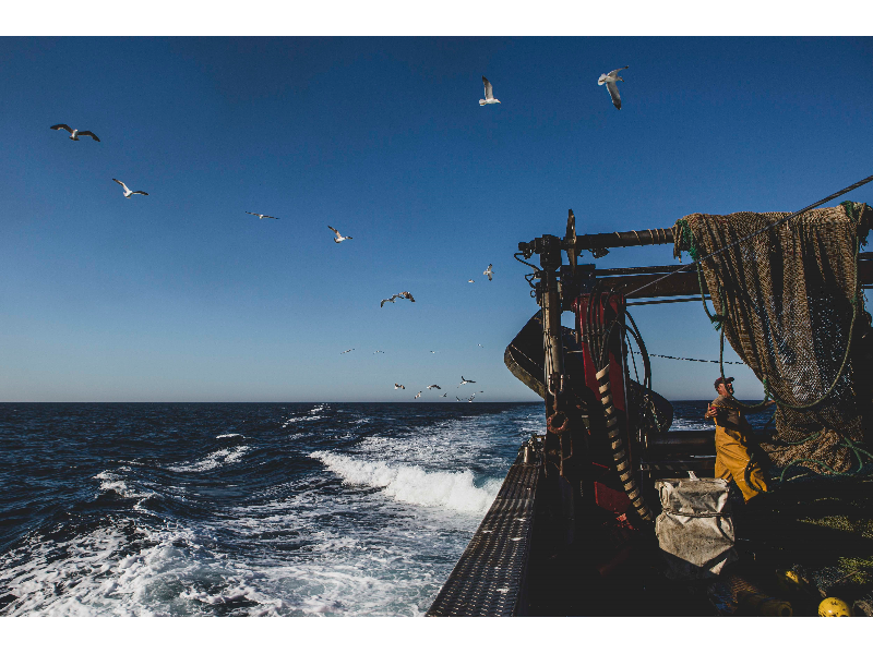 Ampliats en 600.000 euros la convocatòria d¿ajuts per pal·liar els efectes de la guerra sobre la competitivitat de la flota pesquera