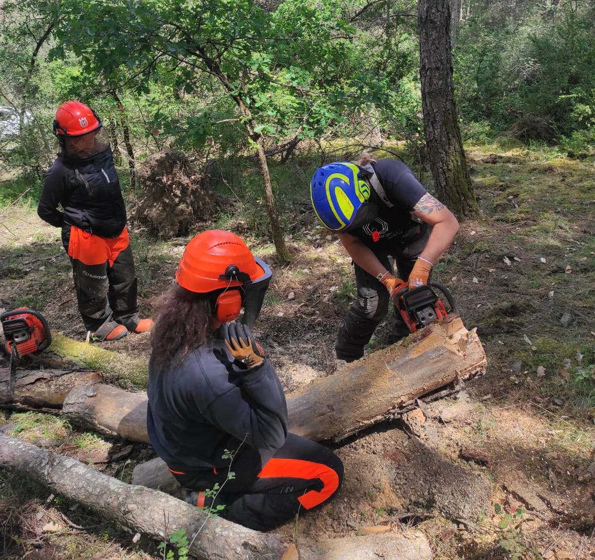 Imagen del artículo Les dones, també invisibilitzades al sector forestal a Catalunya