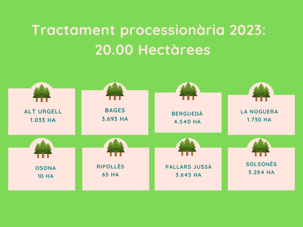 Imagen del artículo 20.000 hectàrees de bosc reben tractament biològic des de l'aire per controlar la processionària del pi