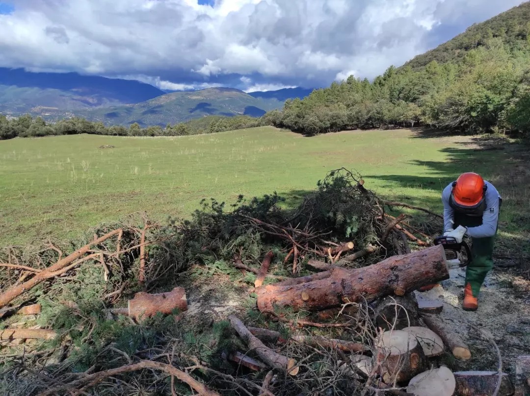 Imagen del artículo L'Escola Agrària del Pirineu triplica les hectàrees de prats i pastures dedicades a l'aprenentatge de treballs forestals, educació ambiental i prevenció d'incendis