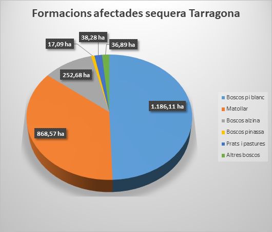 Imagen del artículo Retirar els arbres morts per sequera del paratge de Poblet, una prioritat per evitar plagues i incendis forestals