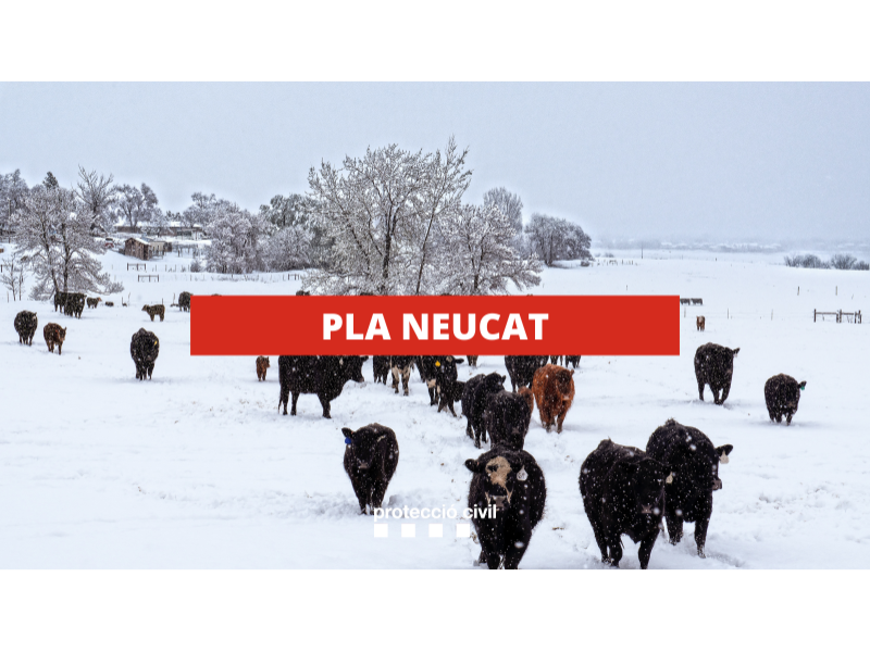 Imagen del artículo Protecció Civil dona a conèixer les novetats del pla NEUCAT per aquest hivern als municipis i consells comarcals