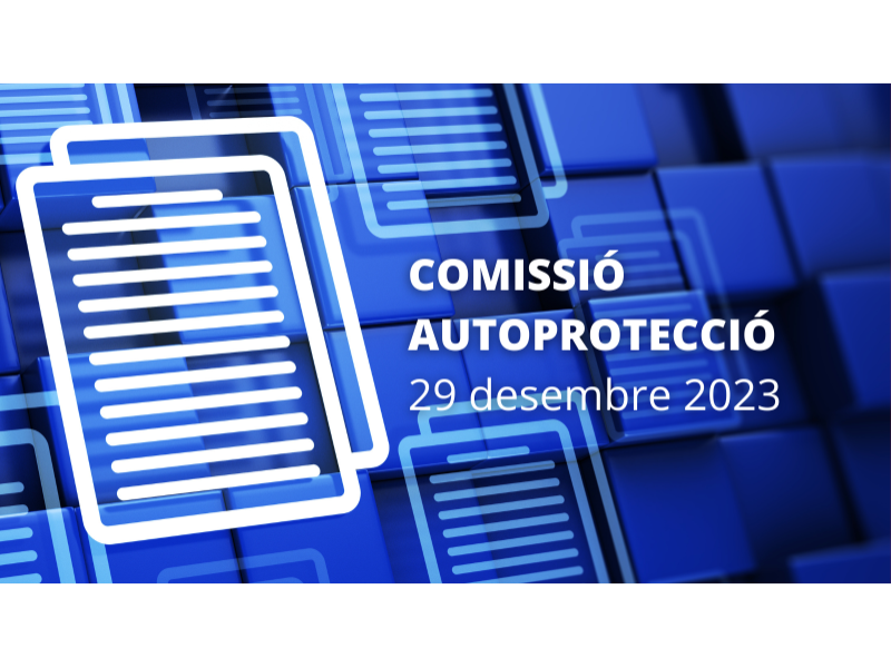 Comissió Plans Autoprotecció 29 desembre 2023