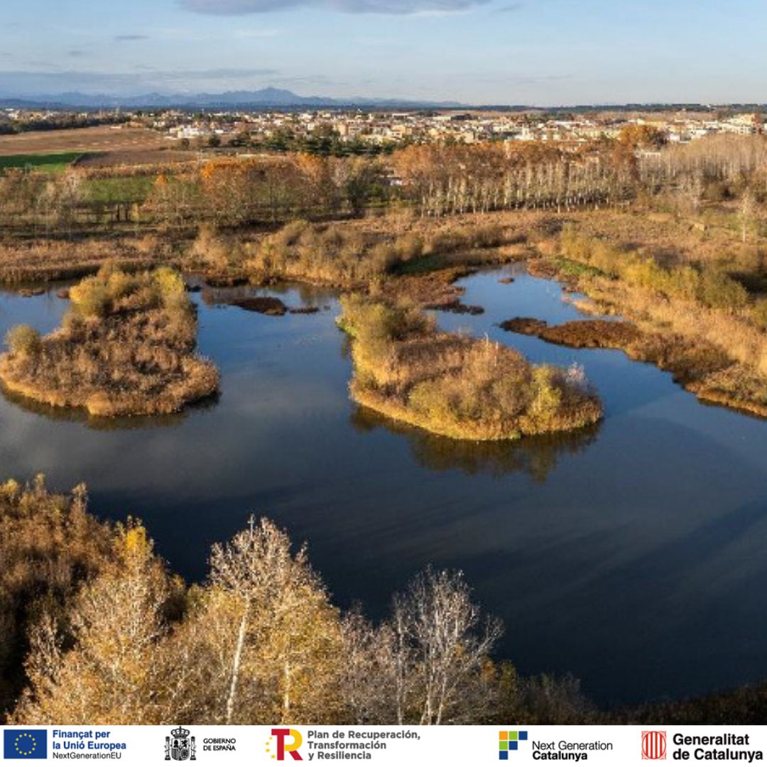 Imagen del artículo L'Agència Catalana de l'Aigua (ACA) millora la inundabilitat i la qualitat de l'aigua per a la restauració de l'estany de Sils