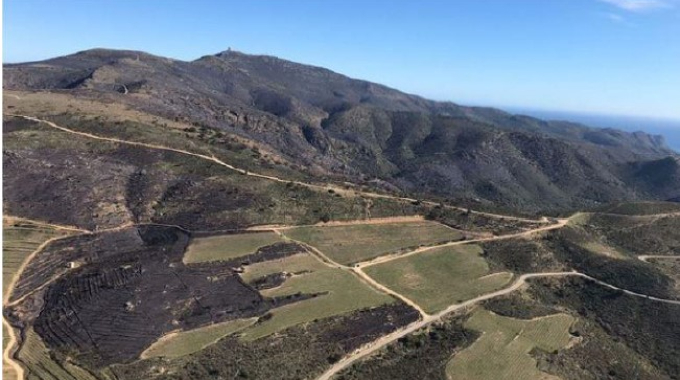 Mosaic agro-silvo-pastoral de la finca de Mas Marès, clau en l’extinció d’un incendi forestal el febrer del 2022, al Cap de Creus. Font: Anna Espelt