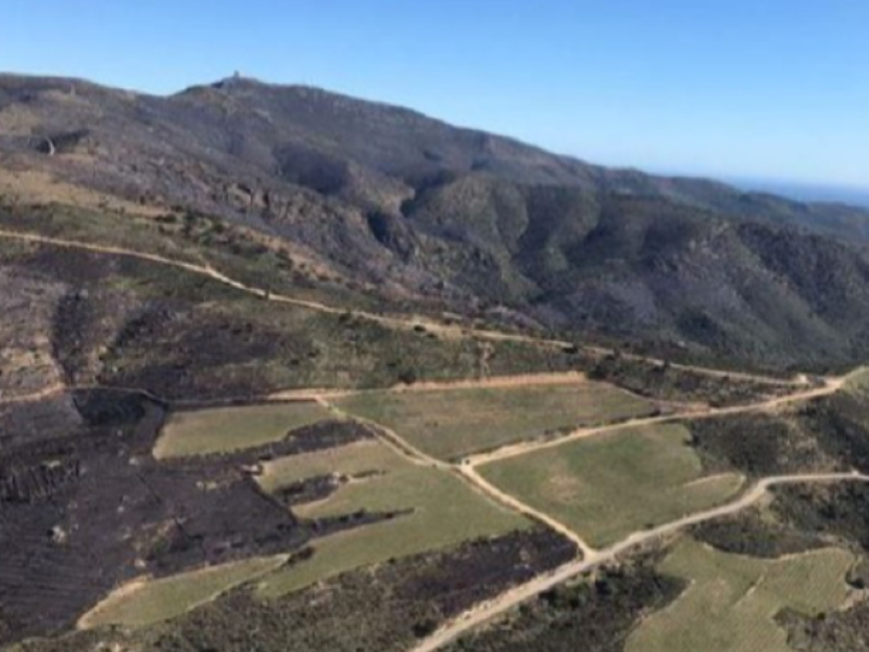 Mosaic agro-silvo-pastoral de la finca de Mas Marès, clau en l¿extinció d¿un incendi forestal el febrer del 2022, al Cap de Creus. 