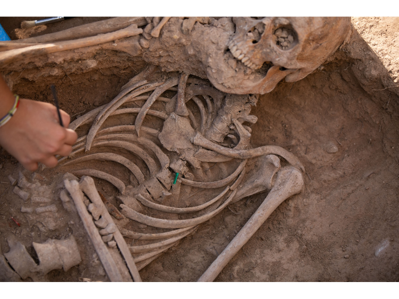 Imagen del artículo L'excavació a la fossa de l'ermita del Remei a Flix, la més gran oberta el 2023, recupera les restes òssies de prop de 60 individus