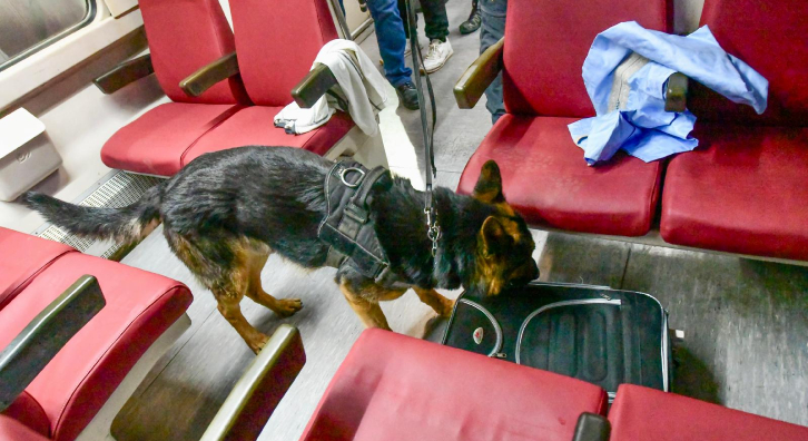 Imagen del artículo L'Espai Sabadell Rambla d'FGC acull, per primera vegada, una jornada de pràctiques de la unitat canina dels Mossos d'Esquadra