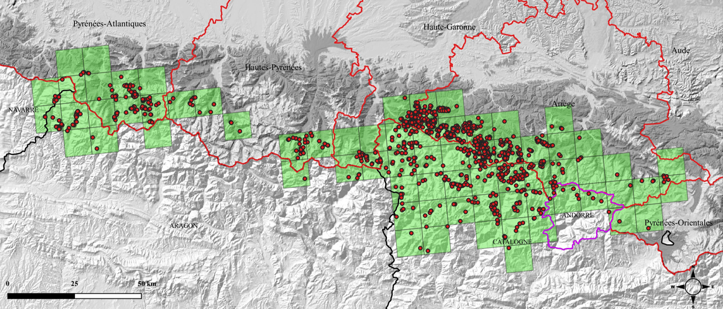 Distribució per quadrícules UTM 10 x10 km de l’os bru als Pirineus, en 2023: àrea de distribució total de 7.100 km² (1.800 km²  als Pirineus occidentals i 5.300 km² als Pirineus centrals).


