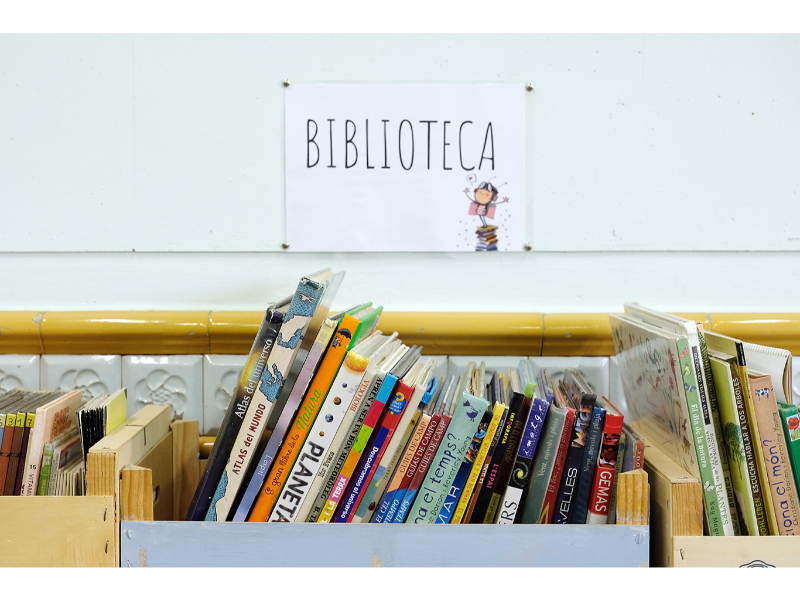 Imagen del artículo Educació obre la convocatòria per seleccionar els primers 35 centres públics pel Pla de millora de les biblioteques escolars de Catalunya