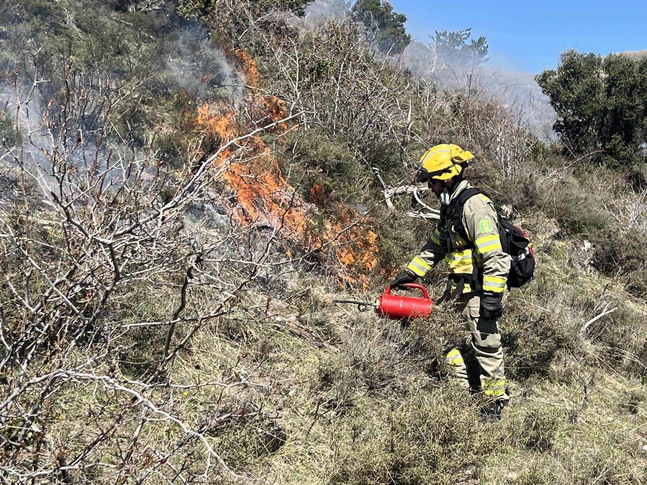 Imagen del artículo Acció Climàtica realitza més cremes controlades per recuperar pastures al Pirineu