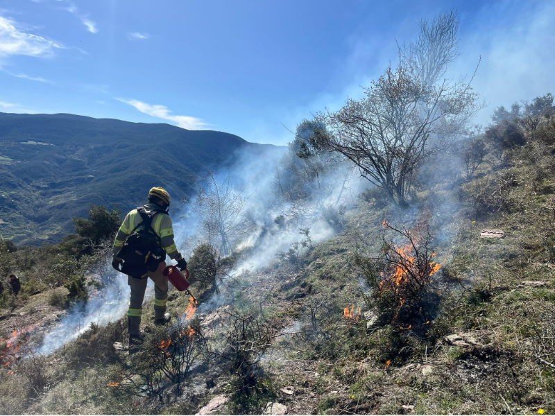 Imagen del artículo Acció Climàtica realitza més cremes controlades per recuperar pastures al Pirineu